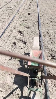 Ручная сеялка.Посев зелени #белгород #farming #сельскоехо?