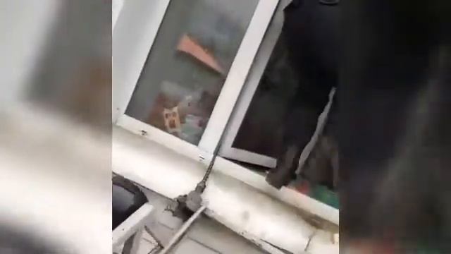 в Иркутске мать заперла детей на 9 дней смотреть онлайн