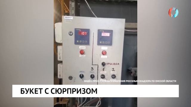 Букет с сюрпризом