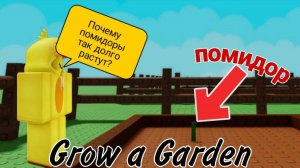 ВЫРАСТИЛ СВОЙ САД В РОБЛОКС! | GROW A GARDEN |Roblox