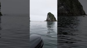 Заповедник