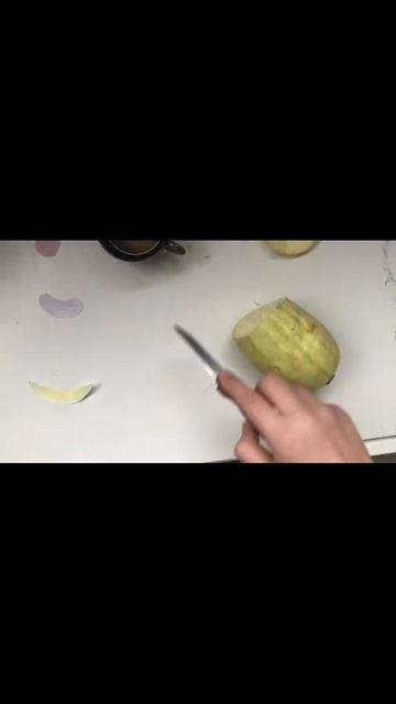 Как из семени кабачка вырастить кабачок часть 1