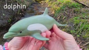 Забавное изучение названий морских животных для самых маленьких Акула, Голубой пятнистый скат, Дельф