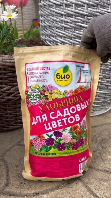 При пересадке однолетников в кашпо или грунт добавьте смотреть онлайн