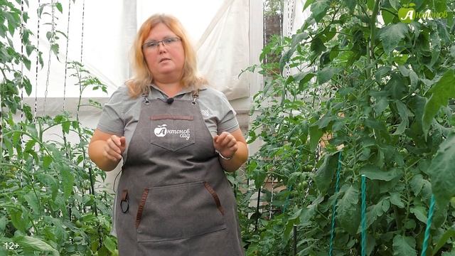 Обработайте ТЕПЛИЦУ осенью! Что нужно сделать в тепли?