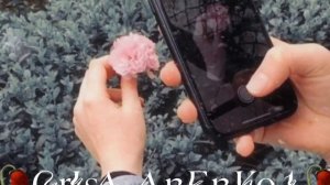🕊Новая Шикарная🕊 цыганская песня 2023 Сияна✨😻
