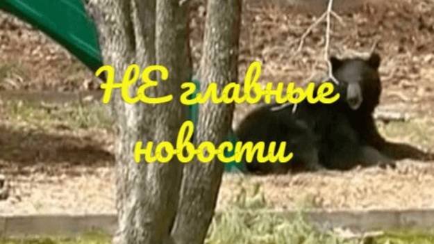 НЕ главные новости
