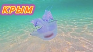 КРЫМ | РОССИЯ 🇷🇺 | КУРОРТНЫЙ ПОСЁЛОК МИРНЫЙ!