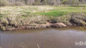 Речка и рыбка.