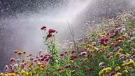 Как менялись тренды в ландшафтной архитектуре за посл