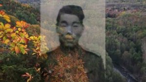 11. Никогда не была на войне