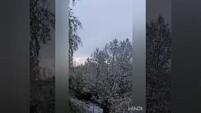 8 мая 2024 порадовало снежком смотреть онлайн