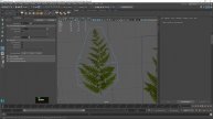 20 Creating Our Fern Part1