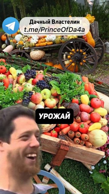 Сильные корни = богатый урожай! Как укрепить рассаду!