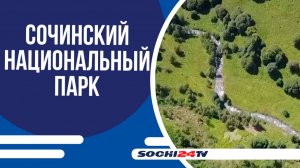 СОЧИНСКИЙ НАЦИОНАЛЬНЫЙ ПАРК ОТМЕЧАЕТ ДЕНЬ РОЖДЕНИЯ