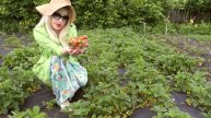 Как вырастить хороший урожай? Нужны любовь к растения?