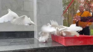 Руководство и ветераны УИС Костромской области почтили память героев