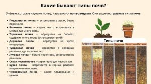 Окружающий мир. Почва