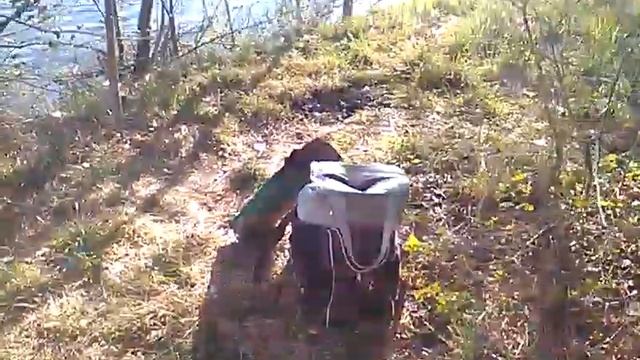 Часть 5 пора домой1 смотреть онлайн