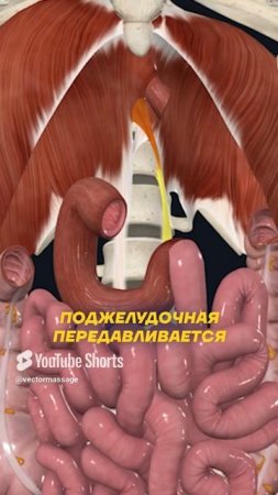 Это уничтожает ваш кишечник!