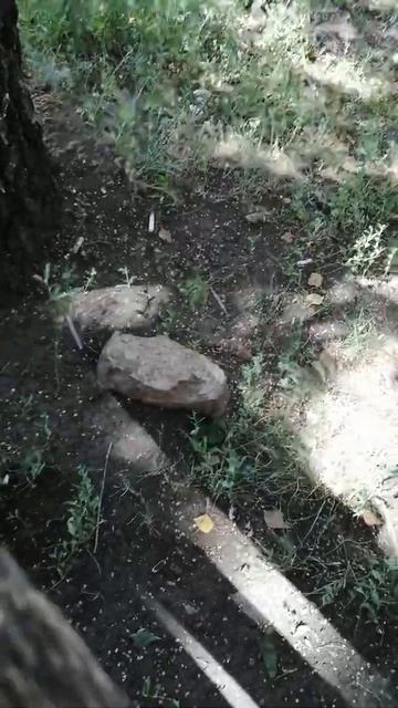 Скачать песню бесплатно