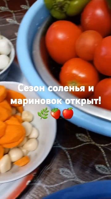 Посадила семена красных помидор а выросли желтые🧡ла?