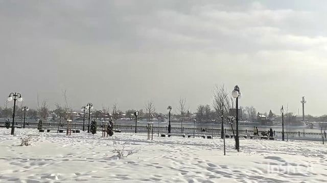 Пушистый снежок