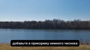 Рыбалка на карпа весной: когда, где и как ловить? 🎣🌿 С