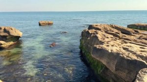 Каспийское море . Дербент . Коса  2024