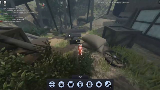 Лунный камень или лк коты воители роблокс