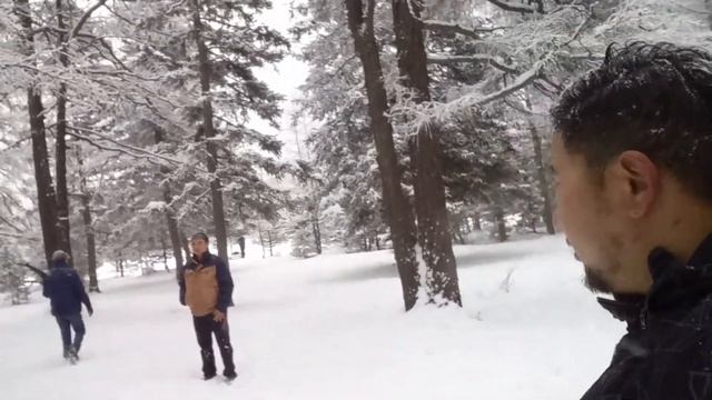 Ууланд аажуухан авирч гарлаа смотреть онлайн