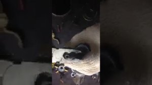 Обслуживание стартера BMW