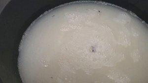 Как замочить розы перед посадкой, чтобы быстрее разви?