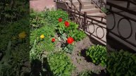🌞🌞любимое время года⛅️⛅️#89646616292 #красота #природа_