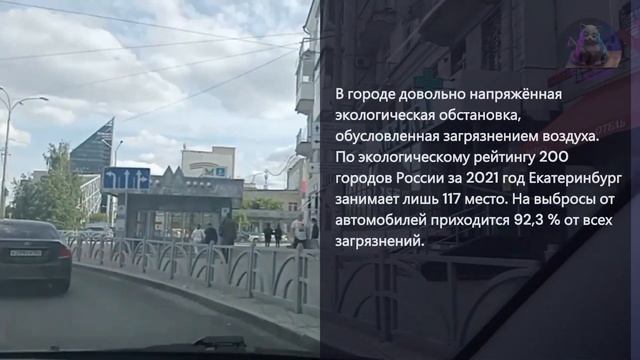Путешествия кота Семёна — День 7 часть 5
