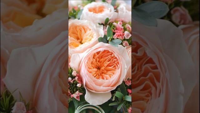 Самая дорогая Роза в мире смотреть онлайн