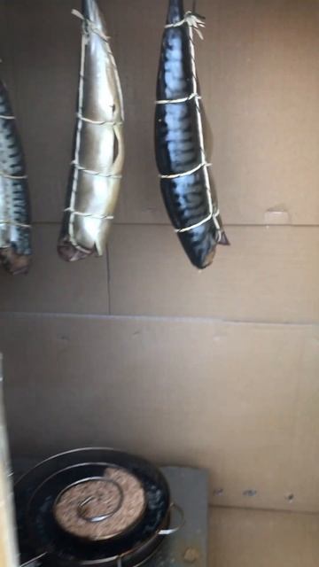 Холодное копчение смотреть онлайн