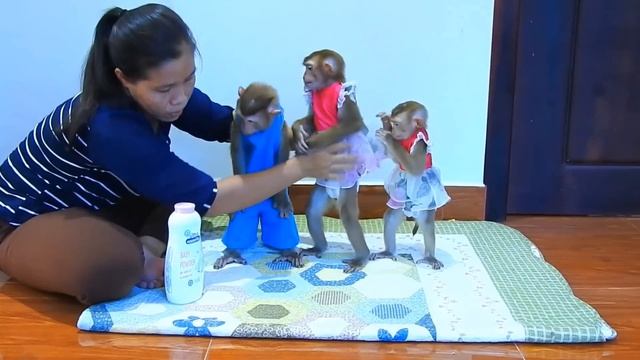 Одевать обезьянок ДЕЛО ОТВЕТСТВЕННОЕ Как малые дети УЛУЧШИТЕЛЬ НАСТРОЕНИЯ