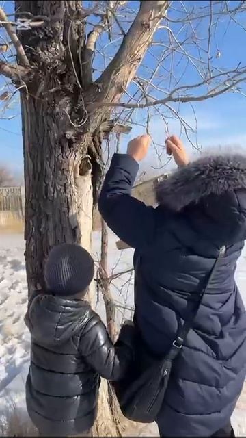 Акция "Покормите птиц зимой" с участием родителей смотреть онлайн