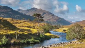 Wild Mountain Thyme - Emma Geekie