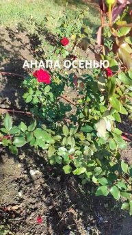 Анапа осенью #анапа #краснодар #новороссийск