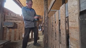 Никто не обижает