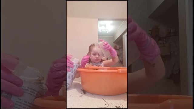 Алиса и бабушка сажают рассаду на весну #цветочныеаро?