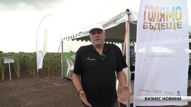 Бизнес новини: Професионално почистване и третиране н смотреть онлайн