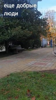 Люди позаботились для кошек, спасибо им за это