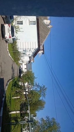 scene_output.mp4