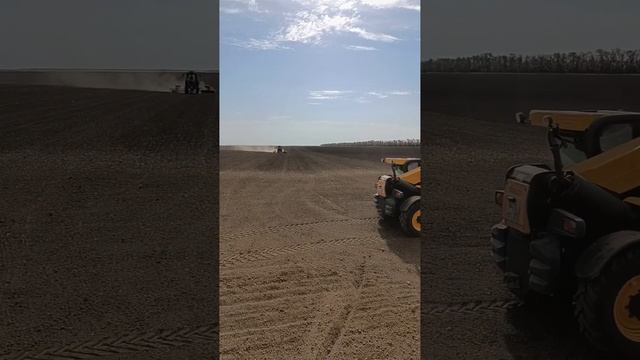 посевная озимой пшеницы 2024-2025.