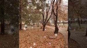 Аллея
