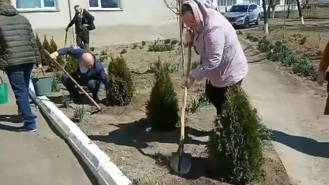 Проєкт "Посади своє дерево" смотреть онлайн