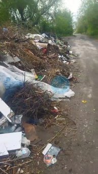 Огромную кучу мусора заметили на улице Новосибирская. Там и бытовые отходы, и стройм